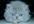 name your cat