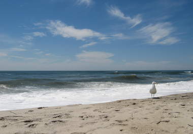 create your amazing Hamptons/Long Island getaway big1