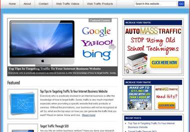install this PROFESSIONAL blog script about Traffic Generation big1