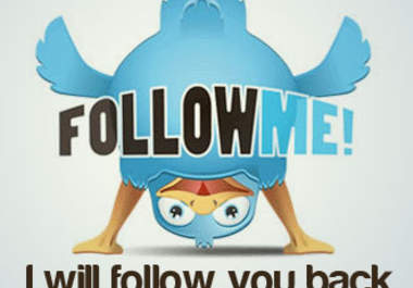 provide you 1600 REAL human twitter followers big1