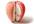 send u an Unique Creative Apple Shaped Memo Pad