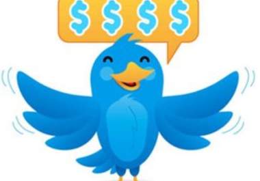 send out 6 Ad to my over 11,000 Followers about Your Business big1