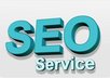 write a complete 40 to 80 pages in depth SEO report for your web site small1