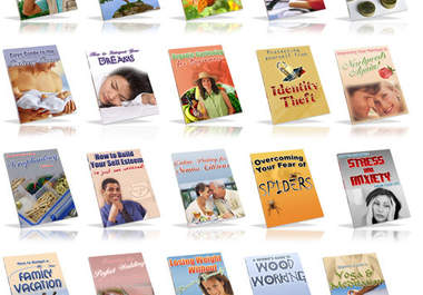 supply 20 popular niche ebooks with full resale rights big1