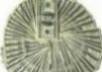 give you Little Known money Secrets