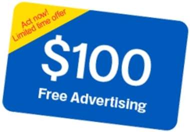 give you a 100 dollars Google Adwords Voucher big1