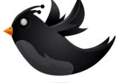 tweet your link/url/message to my  to 26,500 followers on Twitter big1