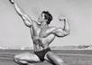 post your link in my bodybuilding related website sidebar for 30 days