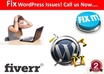 install, Fix, Move, Customize,Optimize WordPress Blog Related Themes and Also Install Plugins with Proper Backup small1