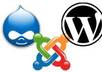 install Wordpress, Joomla, Drupal and any other kind of scripts on your hosting account