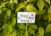 write any msg or feature your brand on a sign at my yard here in Rio de Janeiro