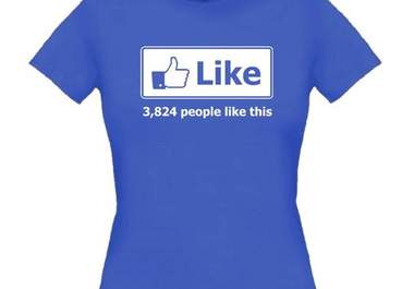 provide 300 Facebook Likes from REAL People to your Facebook Page, website, blog or a blog post big1