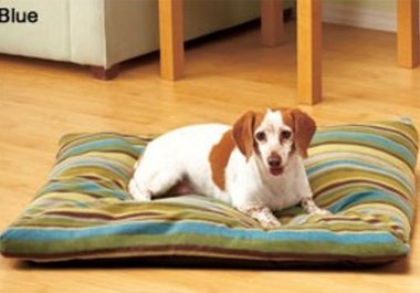 fill you in with all the pet friendly places here in Tn big1