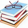 yourguide247