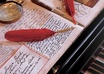 translate English into Turkish per 300 words
