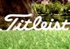 fit this gorgeous nature opening intro to your own logo or name