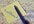 proofread any papers, essays, resumes