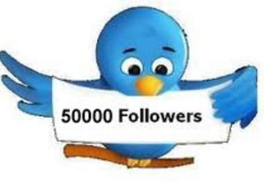 show you how to get 50,000 FOLLOWERS on Twitter in one month big1