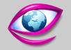 give you SEO advice and recommendations for your website