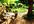 make you a project how to renovate your outdoor space