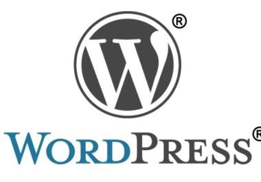 install Wordpress on your Website within 2 Day big1