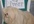 take 3 pictures of my grey persian cat OR my white pekingese dog with your sign to promote your business or website
