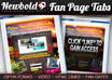 create a PROFESSIONAL Timeline Facebook Fan Page Tab