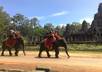 take a real photo of angkor wat, angkor thom, taprom or anything around ankor area as per your desire just