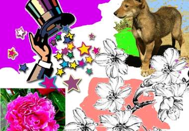 make banners flyers change your picture back or foreground or all big1