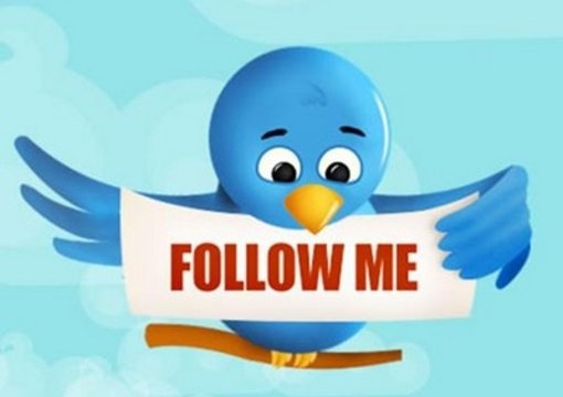 give you 10k Twitter IDs from Sports niche just big1