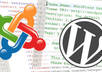 listen to your needs and I will tell you the best choice between joomla and wordpress for your website