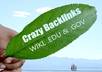 provide crazy but amazing seo service ever on fiverr small1