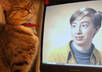 have my cute cat watching your picture