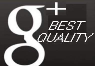 add 210 google plus votes google + google plus +1 with real accounts and it will promote your website big1