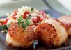 recommend the perfect out of town restaurant