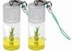 send you two Growable Bamboo Plants