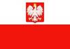 do Polish English translation