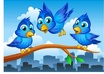 Twitter_promote