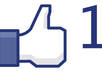 program interactive facebook fan page