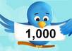 add more than 1,000 Targeted Twitter Followers to your Twitter account