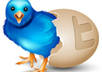 Twitter followers