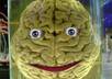 create an Animated Video of The Brain telling any message for you small1