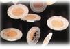promote your gambling product in my blog