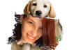 create a beautiful image of a cute little dog holding your portrait photo with its mouth small1