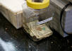 have a tip jar