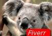 add Text or Watermark Logo to Pictures