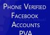 provide quality 5 facebook PVA accounts