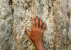 pray for your financial abundance at the Western Wall in Jerusalem