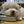 fuzzybuddy12