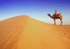 give you a professional detailed travel guide ebook for any part or state of of INDIA